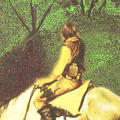 <br><br><br>Il Figlio della Profezia<br><br>Juliet Marillier